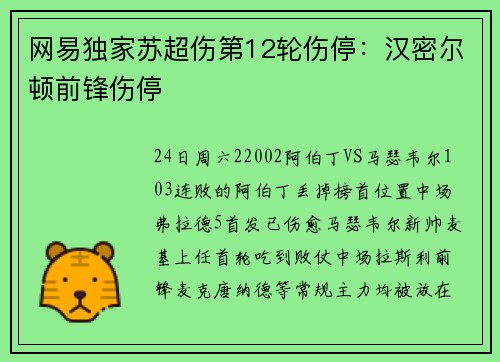 网易独家苏超伤第12轮伤停：汉密尔顿前锋伤停